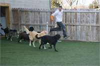 training pic 20 - agility